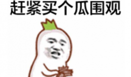 傻大姐吃瓜爆料表情包,趣味横生，笑料百出