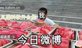 热门吃瓜视频爆料大全最新,最新爆料大全大揭秘！