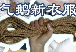 绳艺动漫,探索束缚与自由的视觉艺术之旅