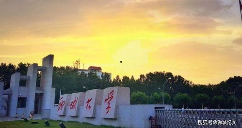 聊城大学大学吃瓜大爆料,揭秘校园吃瓜大事件背后的真相